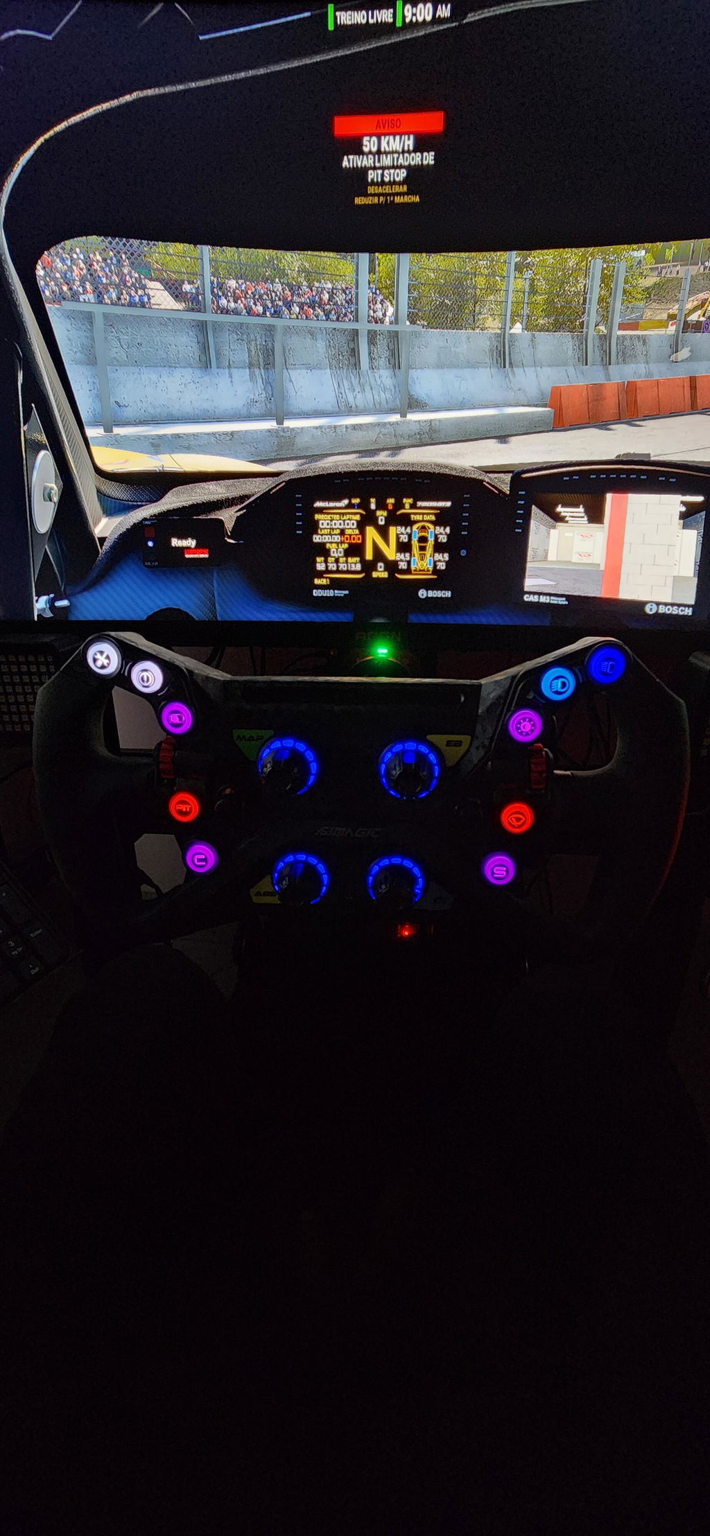 Ideale per sim racing serio